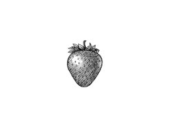 strawberry art